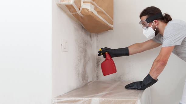 Professional Crawl Space Mold Removal technician working in Bensenville, IL