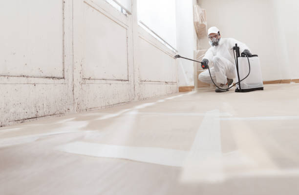 24/7 Emergency Crawl Space Mold Removal experts in Bensenville, IL